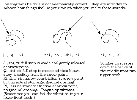 Tongue Placement Chart